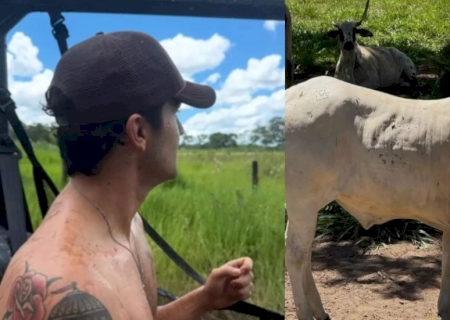 Luan Santana é acusado de ‘crueldade’ após expor gado de sua fazenda em Mato Grosso do Sul