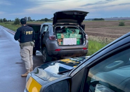 Em uma semana, operação apreende 7,6 toneladas de drogas em MS