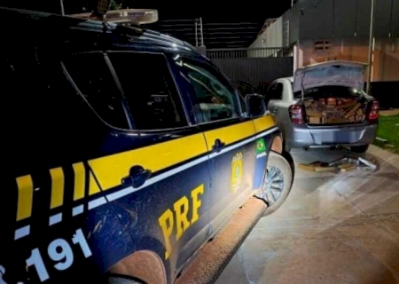 Polícia apreende uma tonelada de maconha em MS
