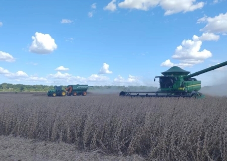 Soja: mais de 28% da área estimada já foi colhida em Mato Grosso do Sul