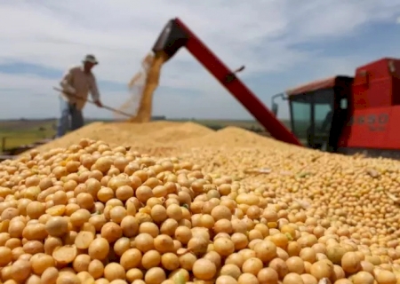 Exportação da soja de MS sofre queda de 14,29% em 2024