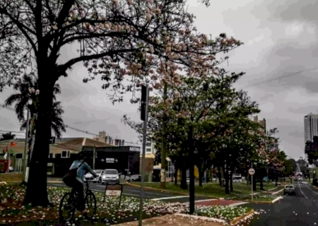 Checklist do outono: saiba como se preparar para os dias de temperaturas amenas em MS