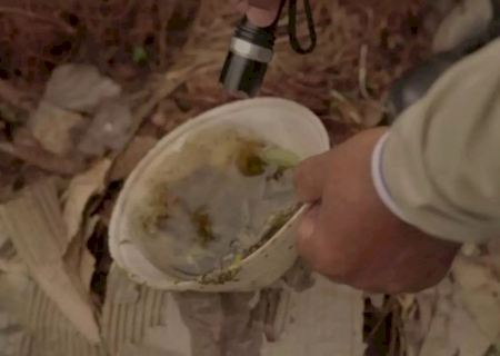 Sobe para 6 o número de mortes por dengue este ano em Mato Grosso do Sul