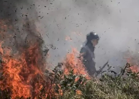 Mato Grosso do Sul entra em emergência ambiental por risco de fogo