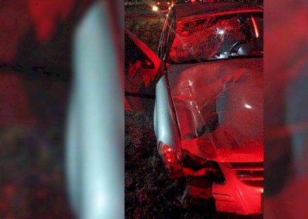 DEODÁPOLIS: ‘Traquina’ morre após ser atropelado na BR-376