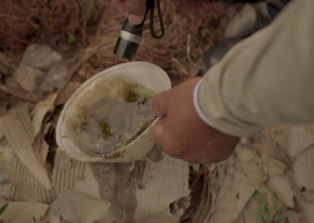 MS confirma quarta morte por dengue em semana com quase 200 novos casos