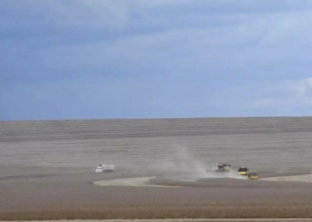 Produção de soja cresce em Mato Grosso do Sul e safra pode chegar a 14,6 milhões de toneladas