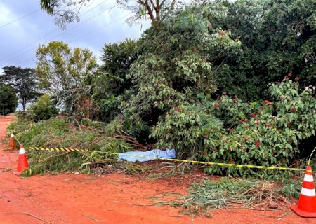IVINHEMA: Homem morre eletrocutado ao podar árvore na Gleba Vitória