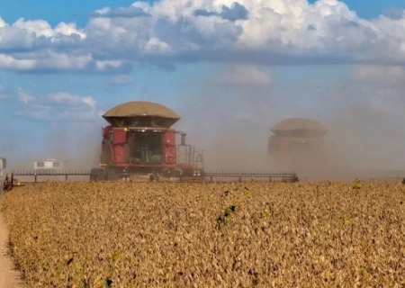 Valor Bruto da Produção agropecuária deve crescer 10% e atingir R$ 1,421 tri em 2025