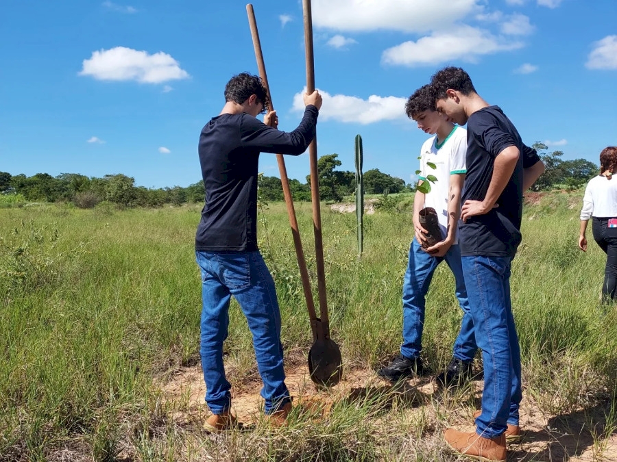 Projeto Plantando Liberdade: reintegração social e sustentabilidade ambiental em Deodápolis