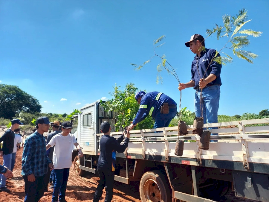 Projeto Plantando Liberdade: reintegração social e sustentabilidade ambiental em Deodápolis