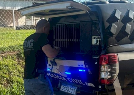 IVINHEMA: Polícia Civil prende mulher que ajudou filho a estuprar idosa