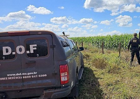 Veículo furtado em Pernambuco é apreendido com uma tonelada de drogas