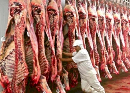 MS registra exportação de 123,4 mil toneladas de carnes e derivados até abril de 2025