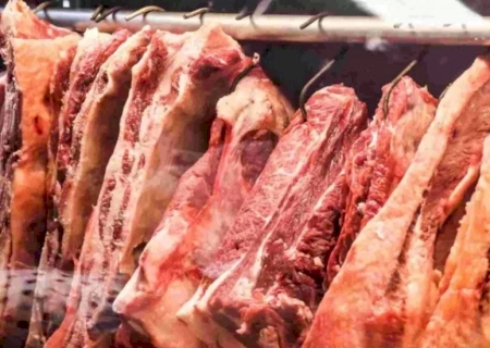 Produção animal cresce no 1º trimestre de 2025 e reforça força do agronegócio