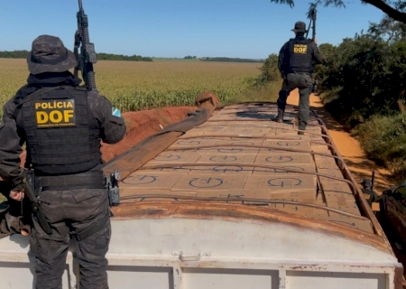 DOF apreende mais de 42 mil pacotes de cigarros contrabandeados em carreta