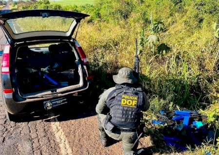 IVINHEMA: DOF apreende mais de 200 quilos de droga em meio a mata