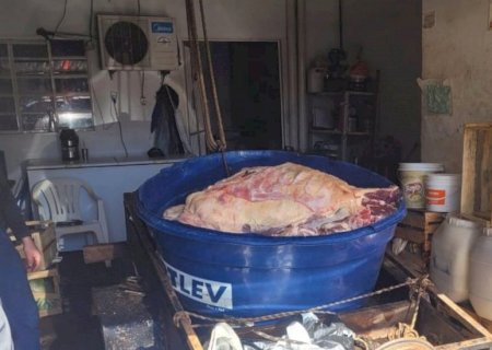 Carne com terra e insetos vendida em açougues é apreendida e dois são presos em MS