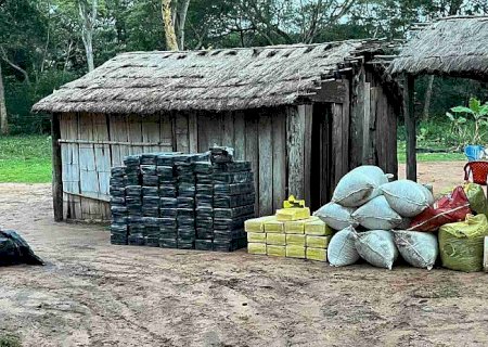Polícia acaba com centro de produção de maconha na fronteira com Mundo Novo