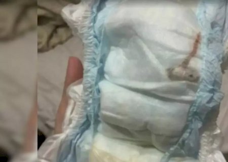 Mãe encontra rato morto na fralda de bebê de um mês
