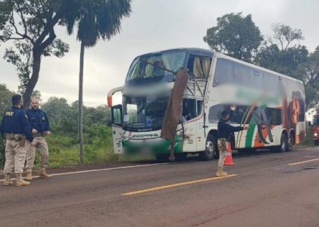 Morto em acidente de ônibus na BR-262, idoso viajava para conhecer a neta recém-nascida  