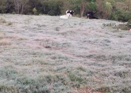 Três cidades registram temperaturas negativas em MS