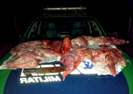 PMA apreende animais silvestres abatidos durante patrulhamento em MS