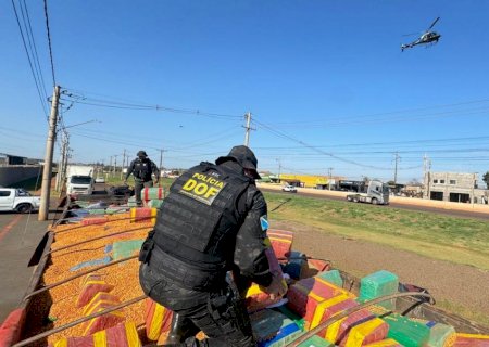 DOF apreende mais de 15 toneladas de drogas em meio a carregamento de milho