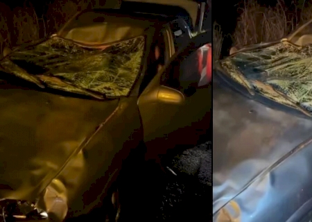 DEODÁPOLIS: Boi invade pista, provoca acidente e deixa dois feridos
