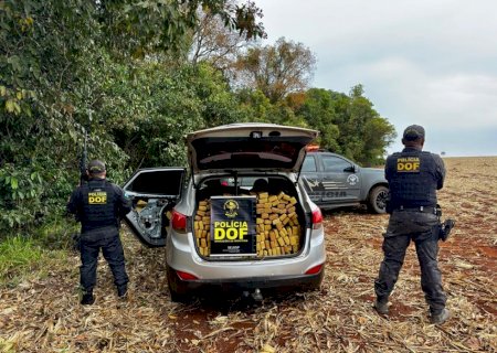 DOF apreende quase 900 quilos de drogas em carro roubado, após tentativa de fuga em MS