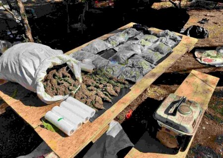 Laboratório com maconha pronta para ser entregue ao Brasil é desmantelado no Paraguai