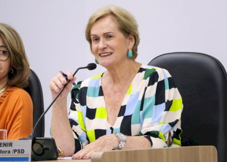 Professora Denir solicita implantação de Centro de Especialidades Odontológicas (CEO) e retomada da Casa da Cultura