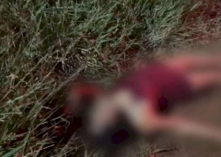 Gritando por socorro, mulher é encontrada ferida às margens da rodovia