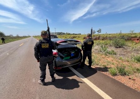 Carga de R$ 1,4 milhão em drogas é apreendida na MS-180