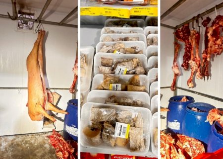 Polícia Civil realiza operação em Taquarussu visando o combate à comercialização de produtos de origem animal impróprios para o consumo