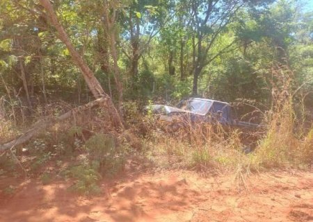 Heran&ccedil;a de fam&iacute;lia: F-1000 &eacute; levada de oficina e achada destru&iacute;da em vegeta&ccedil;&atilde;o