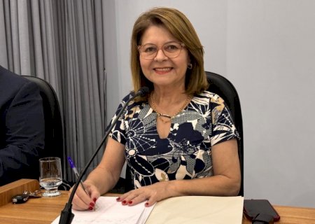 Ivonete Mendonça solicita cascalhamento na Gleba Vitória, ticket-refeição para servidores e substituição urgente de poste na Vila Cristina