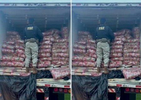 PRF apreende quase duas toneladas de maconha na divisa entre MS e SP