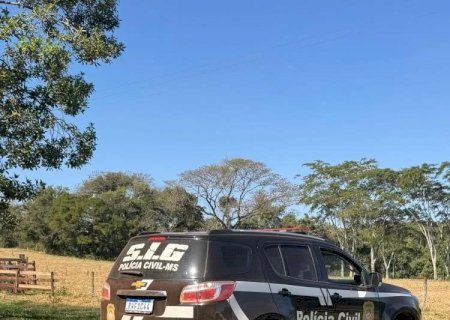 Criminosos invadem fazenda, matam novilha e levam toda a carne