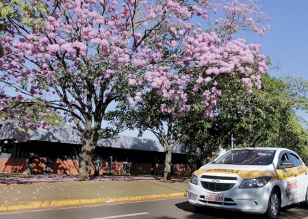 DEODÁPOLIS: Instrutor do município é eleito o melhor do trânsito em 2025 pelo Detran-MS