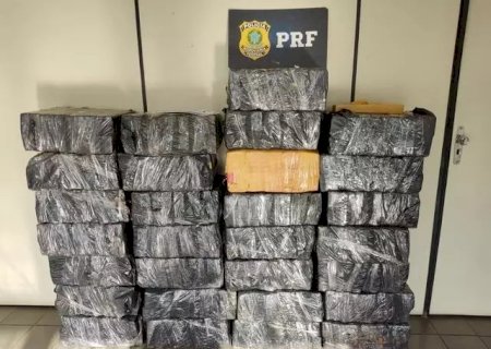 Traficantes confessam transporte de maconha de MS para BH: “Perdi'