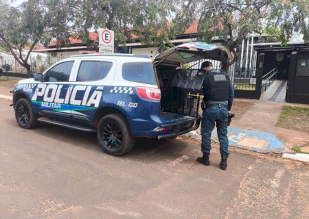 IVINHEMA: Polícia Militar cumpre mandado de prisão por lesão corporal