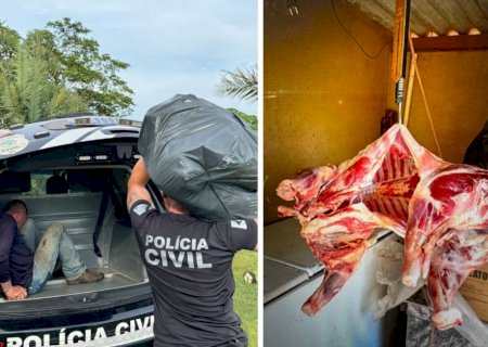 Polícia Civil esclarece furto de carneiros em fazenda da região e prende autor em Anaurilândia