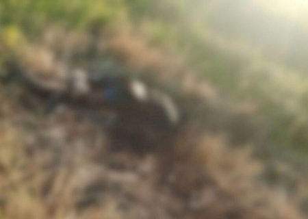 Após sair para fazer cobrança, homem é encontrado carbonizado