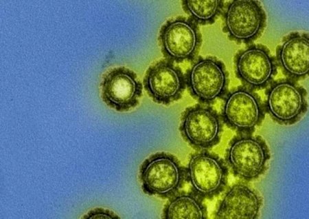 MS registra mais 9 casos da gripe K e número chega a 12