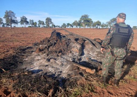 PMA autua responsável por queimada irregular durante operação