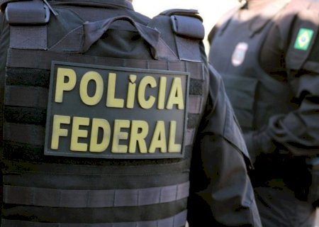 Mais de uma tonelada de maconha é apreendida em ação conjunta em assentamento
