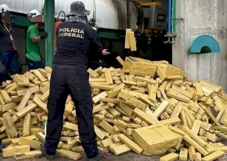 TRÊS LAGOAS: Em primeira incineração de 2026, PF destrói 8,2 toneladas de droga