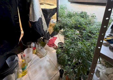 Polícia Civil localiza laboratório para cultivo ilícito de drogas em MS