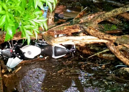 Motociclista fica ferido após ser atingido por árvore durante temporal em Dourados